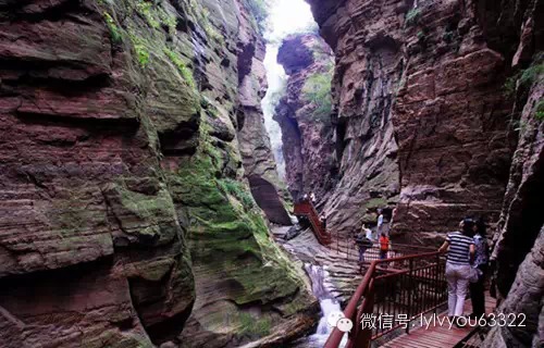 洛阳合适中学生好玩免费景点,洛阳各个景点的介绍