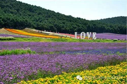 洛阳合适中学生好玩免费景点,洛阳各个景点的介绍