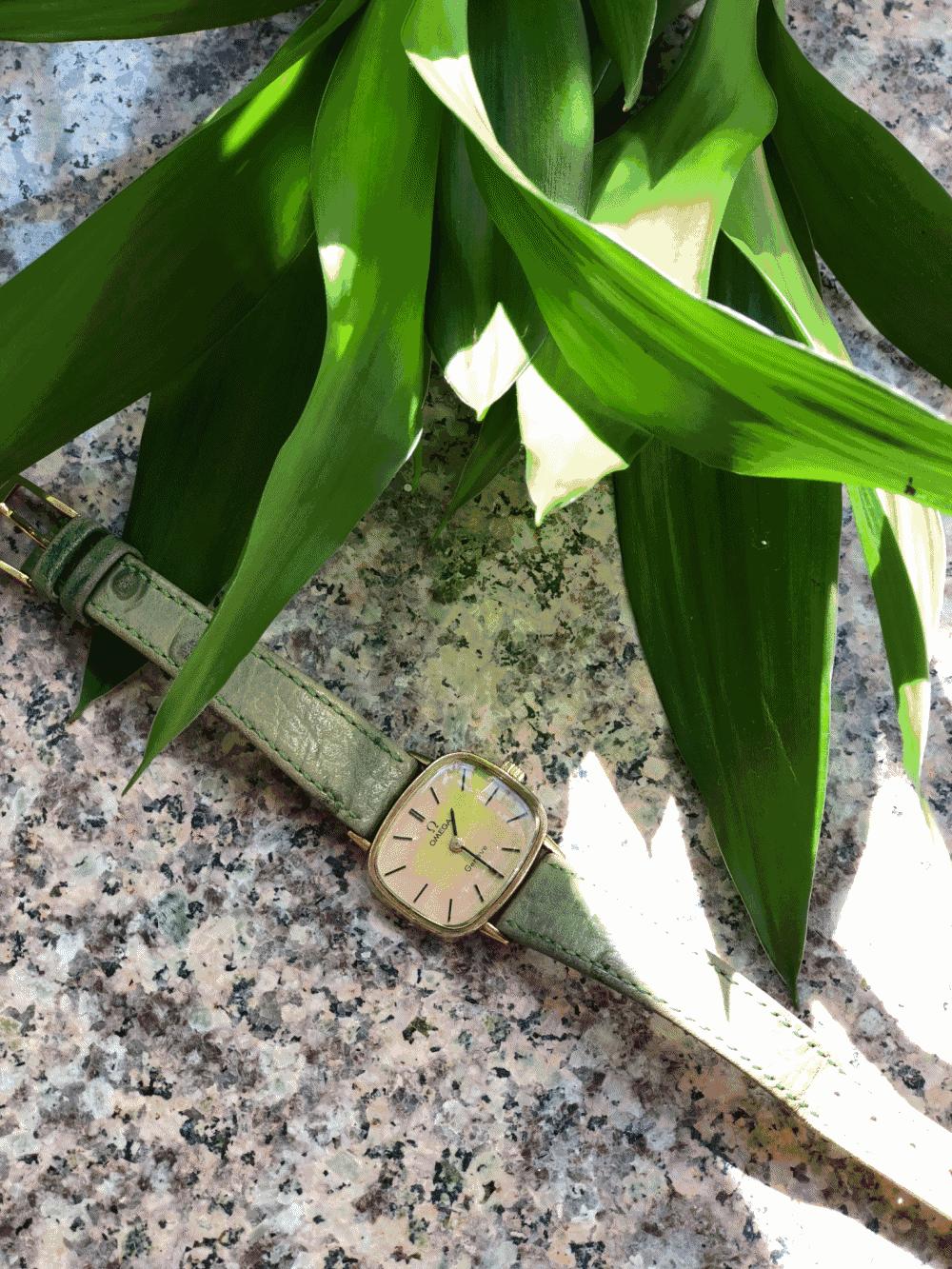 购物日记买东西,购物记完全版全集