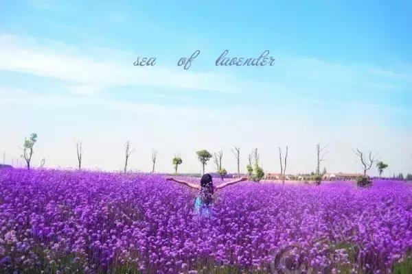 大家好这是我的家乡淮安英文,欢迎来我的家乡上海