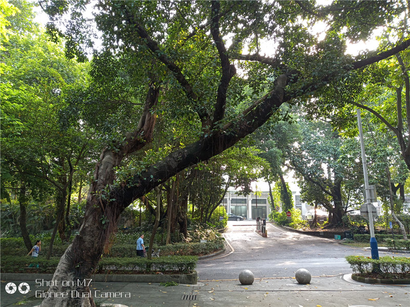 提升自己不止一点点,提高金立手机性能