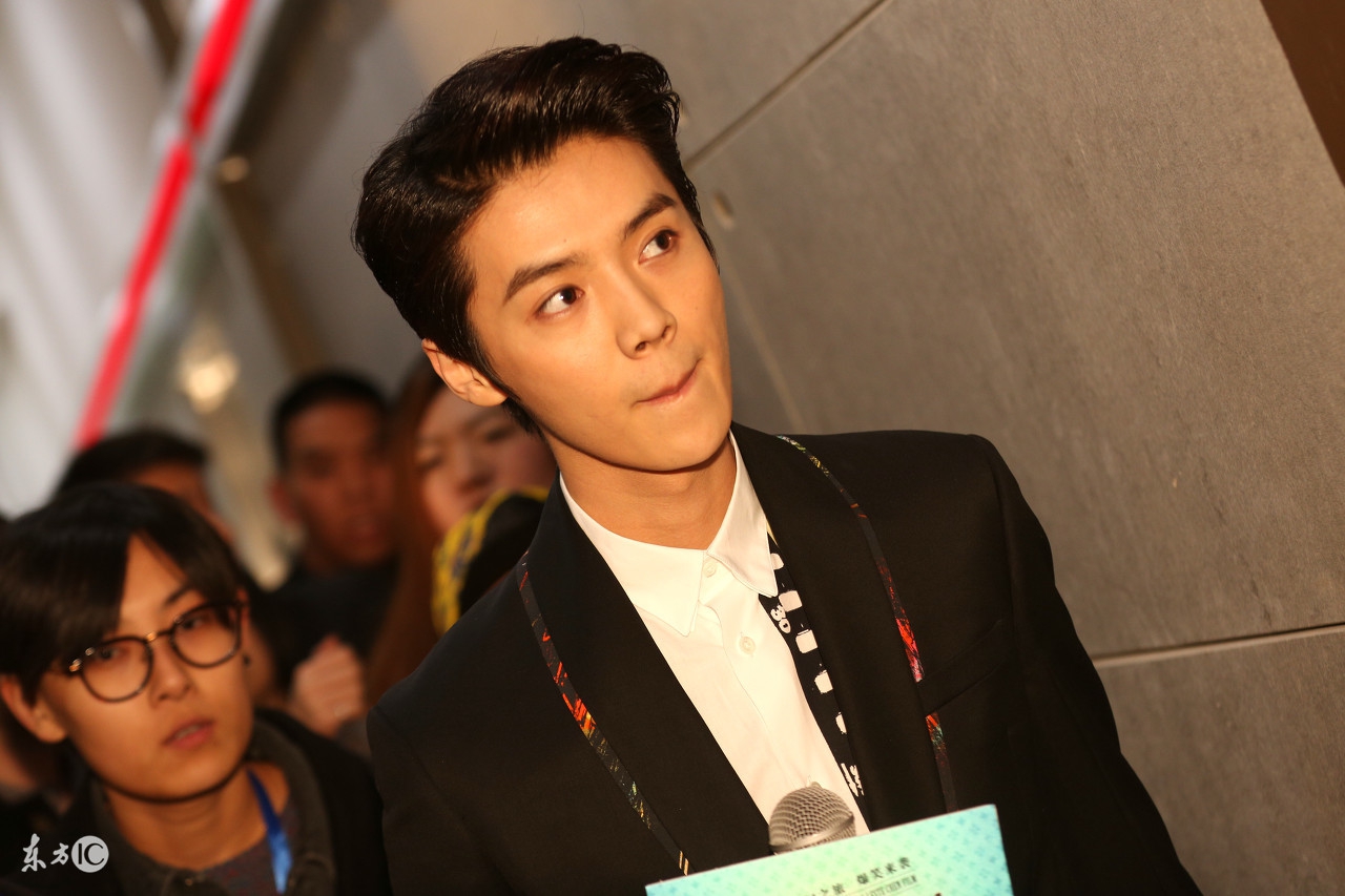 喜欢鹿晗原因,喜欢鹿晗英文