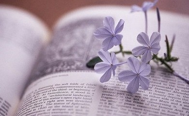 英语语法基础知识大全整理,英语语法基础知识大全完全版