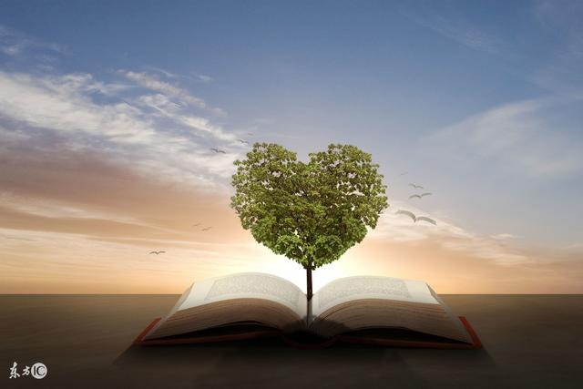 英语语法基础知识大全整理,英语语法基础知识大全完全版