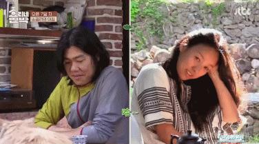 亲爱的客栈被骂上热搜,亲爱的客栈遭吐槽