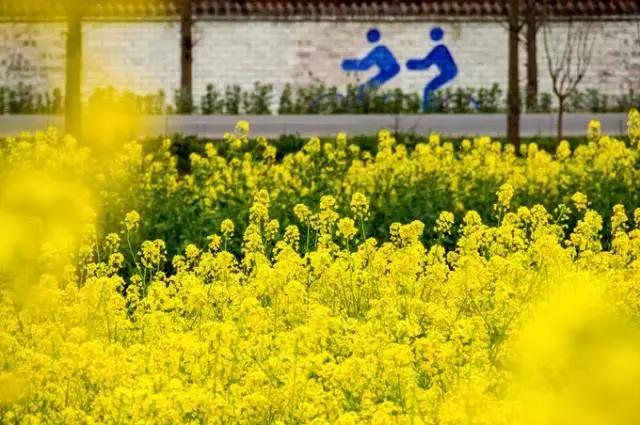 对不起成都，我只能给你90分！