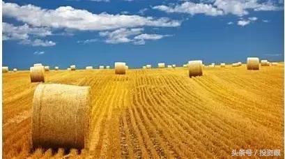 券商研报在哪看,券商研报在哪里能够看到最新的