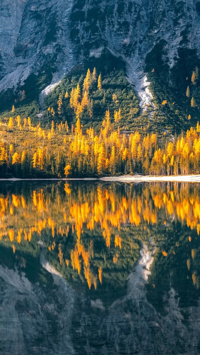 中国诗翻译成英语再翻译成中文,翻译成中文和英文的诗