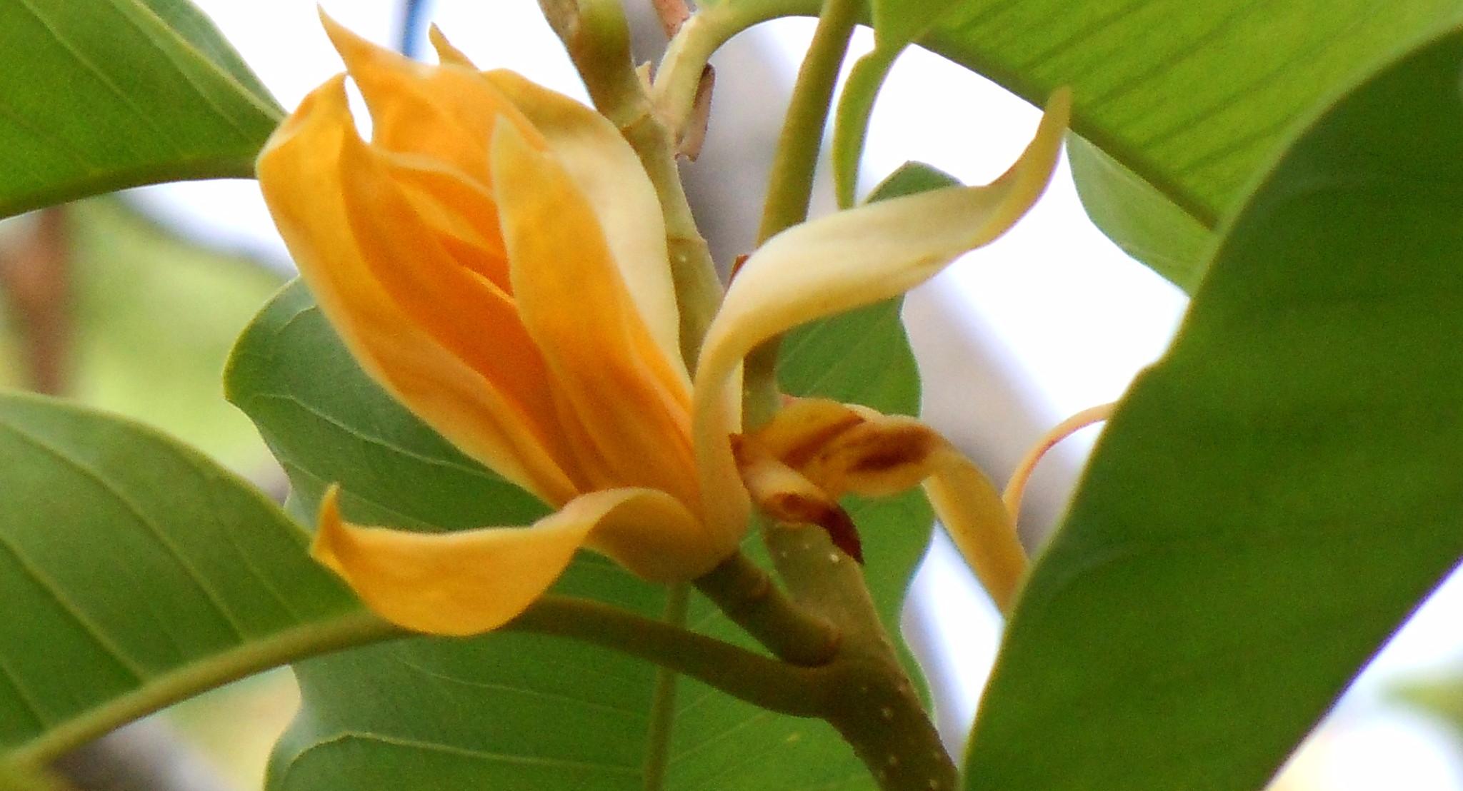 每个人都要经历的必经之路 (每个人所走的路都是必经之路)