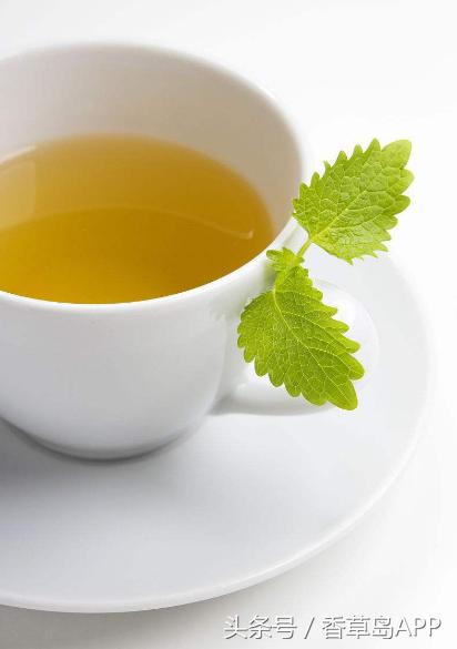 爱上管香蜂草，只因迷恋佛手柑的甜美