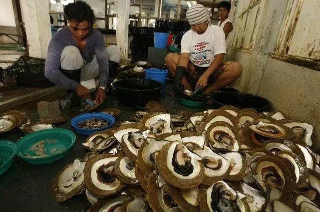 最贵的天然珍珠价格是多少钱,最贵天然珍珠