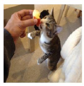 智能抠图背景抠不干净教程,ps2023学习抠图全套免费课程