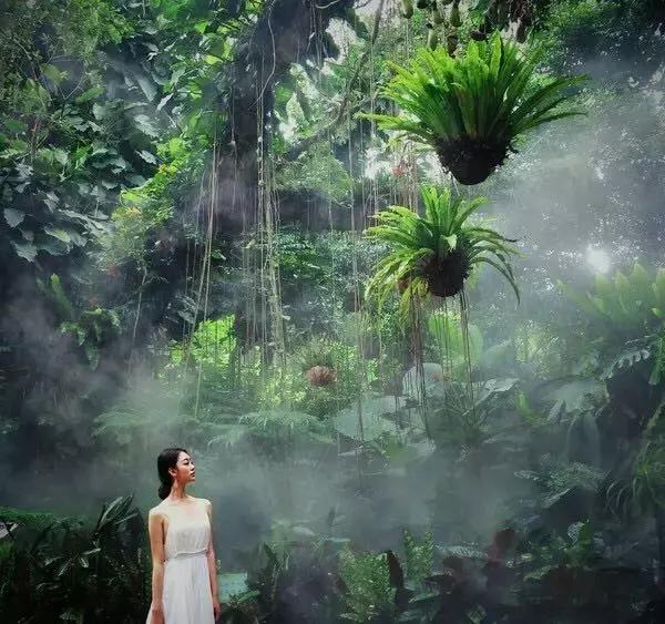 厦门旅游景点必去攻略自由行,厦门旅游攻略最好的城市自由行