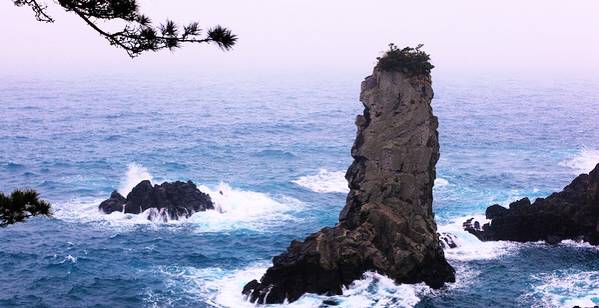 出川记,出川旅行记音乐