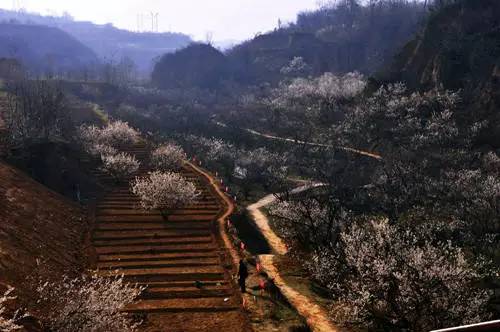 洛阳合适中学生好玩免费景点,洛阳各个景点的介绍