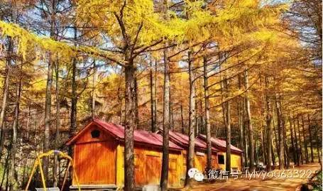 洛阳合适中学生好玩免费景点,洛阳各个景点的介绍