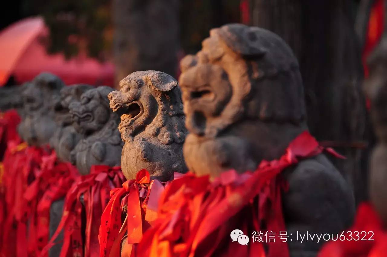 洛阳合适中学生好玩免费景点,洛阳各个景点的介绍