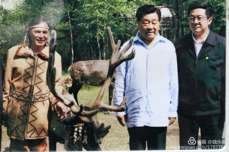 内蒙古草原旅游度假村,内蒙古敖鲁古雅景区