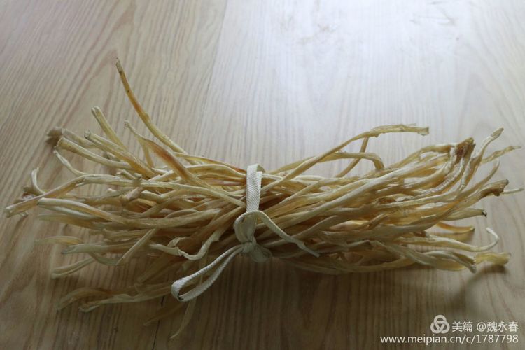 内蒙古草原旅游度假村,内蒙古敖鲁古雅景区