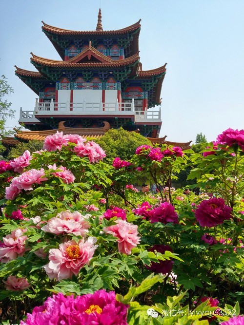 洛阳合适中学生好玩免费景点,洛阳各个景点的介绍