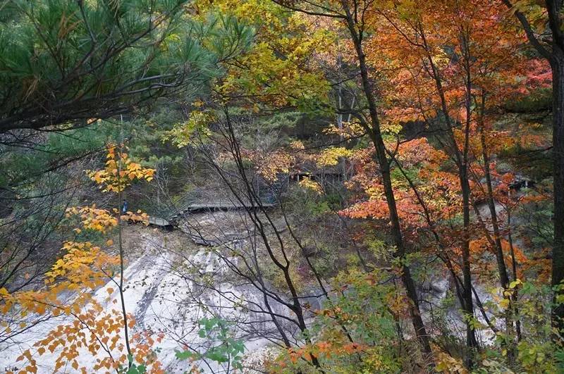 洛阳合适中学生好玩免费景点,洛阳各个景点的介绍