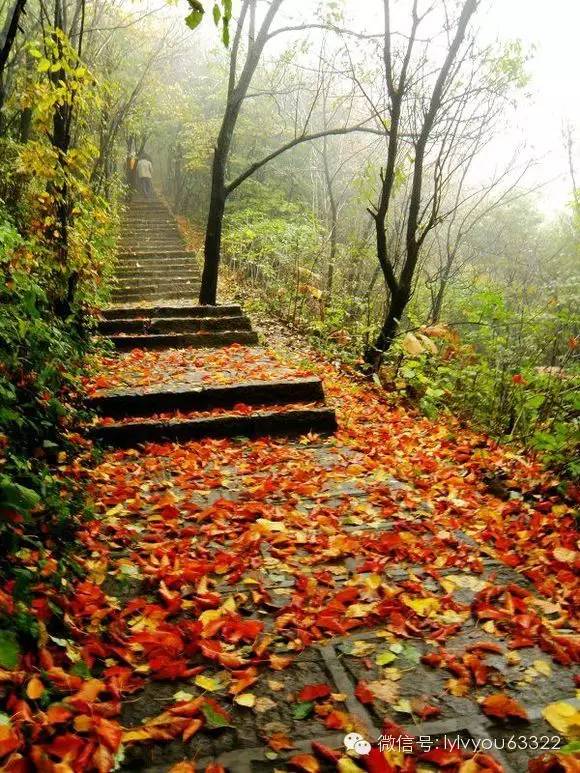 洛阳合适中学生好玩免费景点,洛阳各个景点的介绍