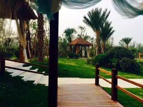 洛阳合适中学生好玩免费景点,洛阳各个景点的介绍