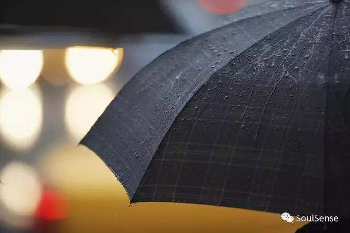 收藏雨伞,高档收藏雨伞