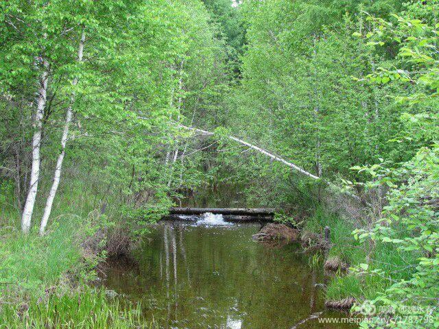 内蒙古草原旅游度假村,内蒙古敖鲁古雅景区