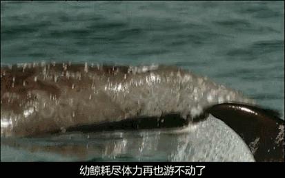 等了你十七年,等了17年