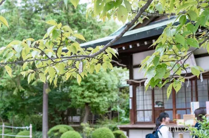 日本大阪旅游三天,大阪玩转日本6天5晚跟团游