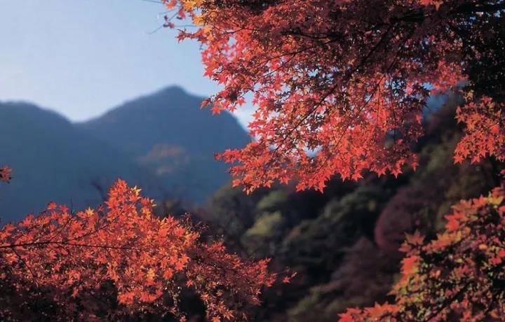 青阳九华山荣玺庄园温泉游玩攻略,荣玺庄园温泉怎么泡