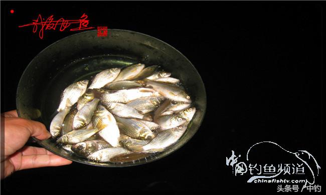 夜钓继续过小瘾，回家煲煲爱心粥