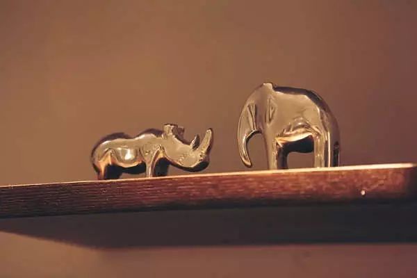 最红的网红淘宝店主,上海网红淘宝店主