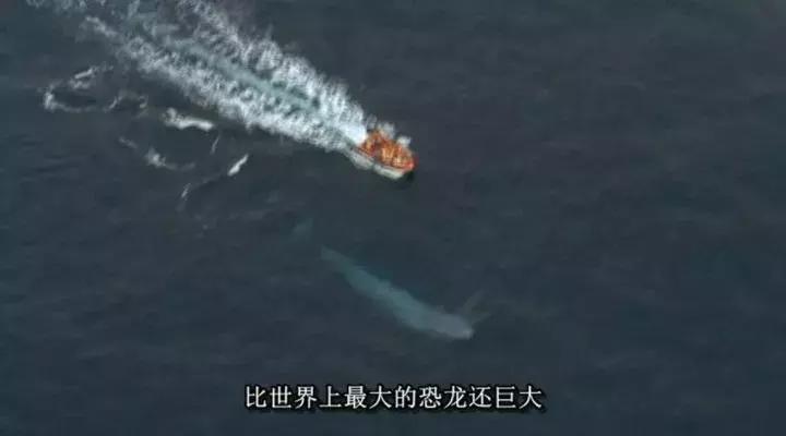 等了你十七年,等了17年