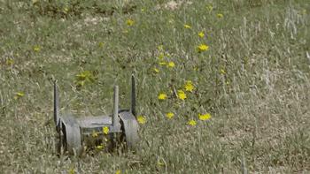 xbox手柄军用,最新的xbox手柄是什么