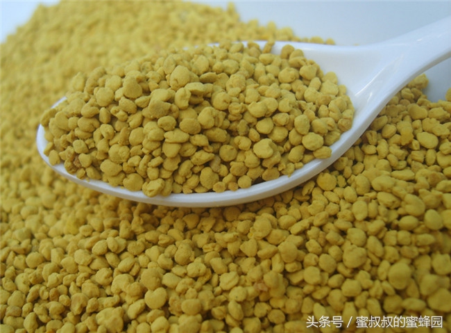 破壁蜂花粉不破壁,破壁蜂花粉哪卖的呀