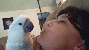 搞笑gif别惹我我疯起来自己都害怕,搞笑gif图一天天的就知道欺负我