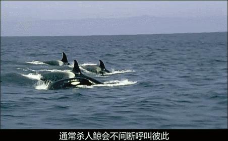 等了你十七年,等了17年