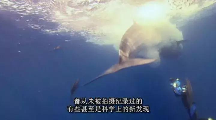 等了你十七年,等了17年