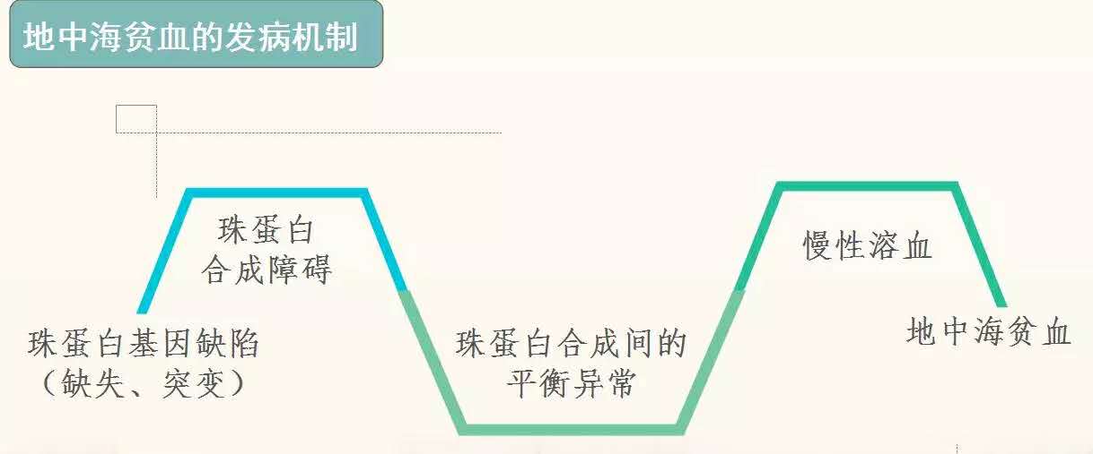 孕期甲减糖尿病地中海贫血,孕期地中海贫血症状和危害