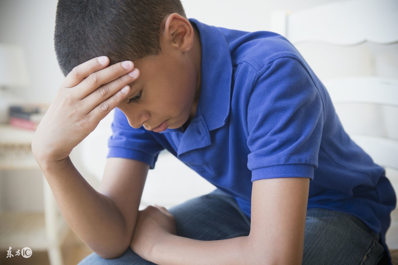 老婆的几次流产竟是家里的它惹的祸知道知道真相后后悔死了