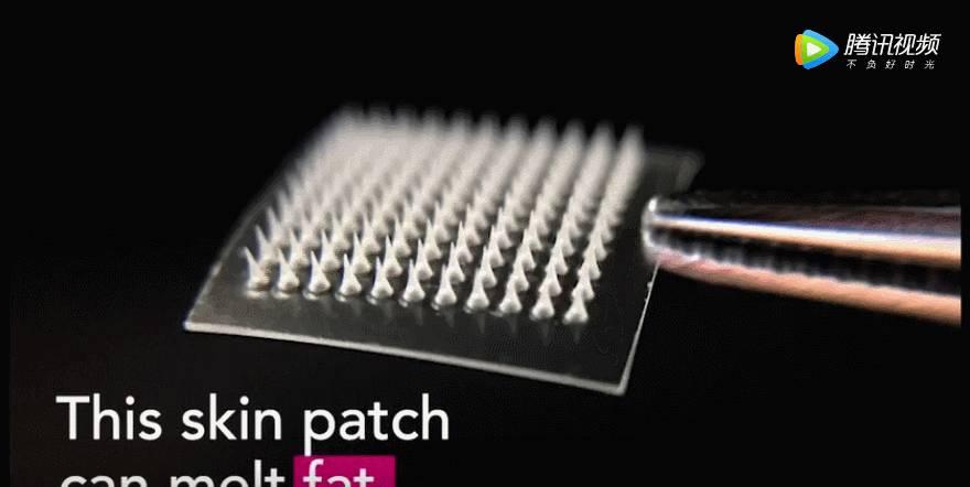 不用节食一周也能瘦8斤的方法,15天减掉20斤脂肪的方法