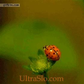 警察：赶紧把车从人家屋里倒出去