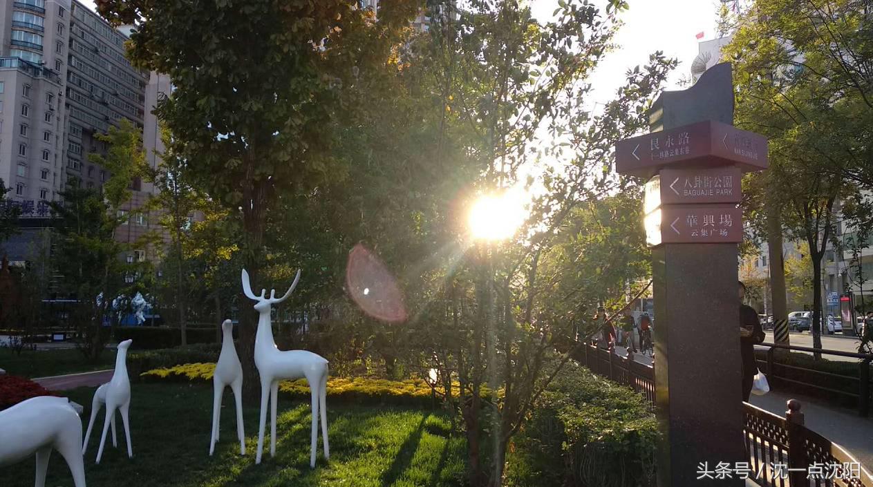 寻味老街的旧时光,寻味老街探秘传统