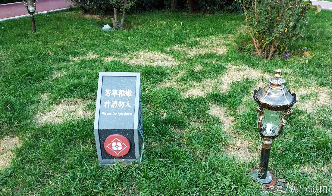 寻味老街的旧时光,寻味老街探秘传统