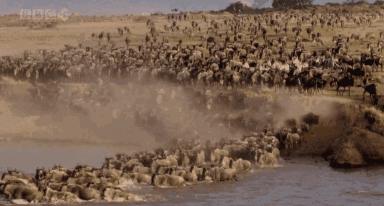 看哭！亲爱的游客，那个为你们服务的领队，是我最爱的妻子，请对她好一点