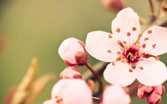 栗子姐每日情感问答,栗子姐每日情感问答全集