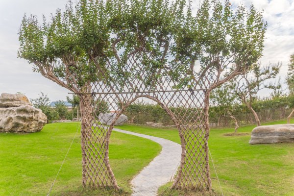 紫薇的价值及图片,紫薇观赏价值