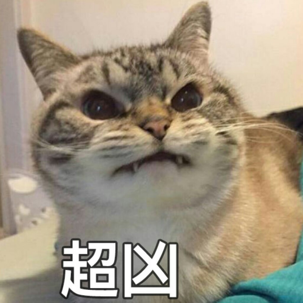 最近很火的猫咪表情包的猫叫什么,最近很火的猫表情包是什么品种的